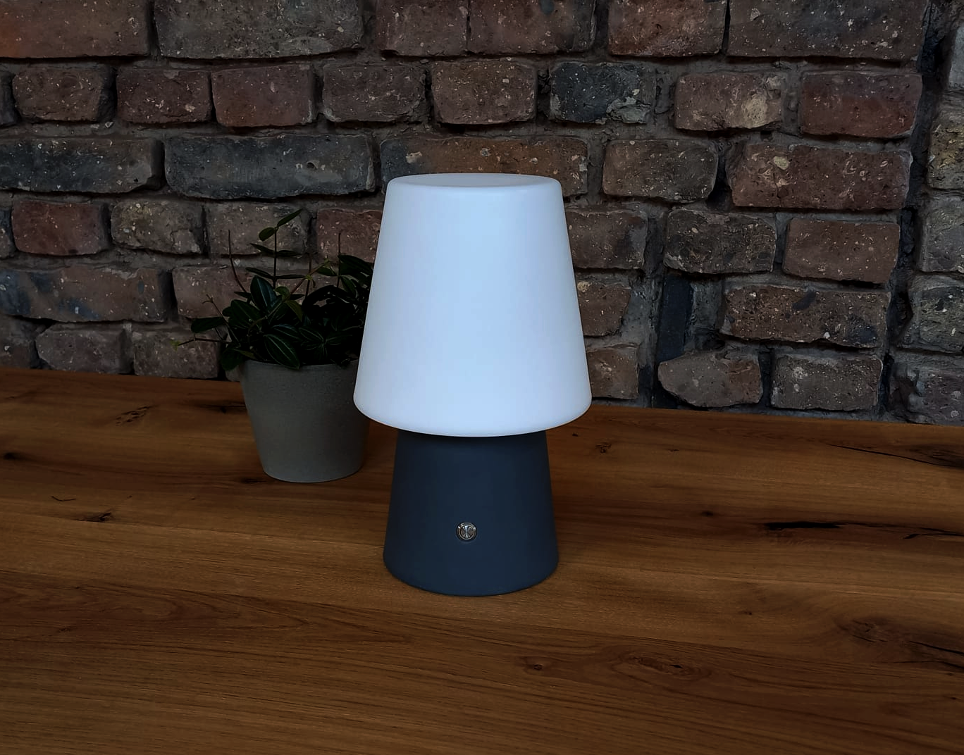 High Light 30cm