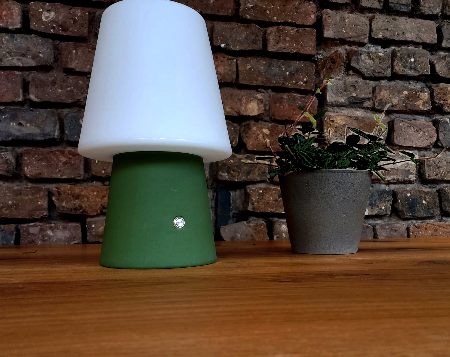 High Light 30cm