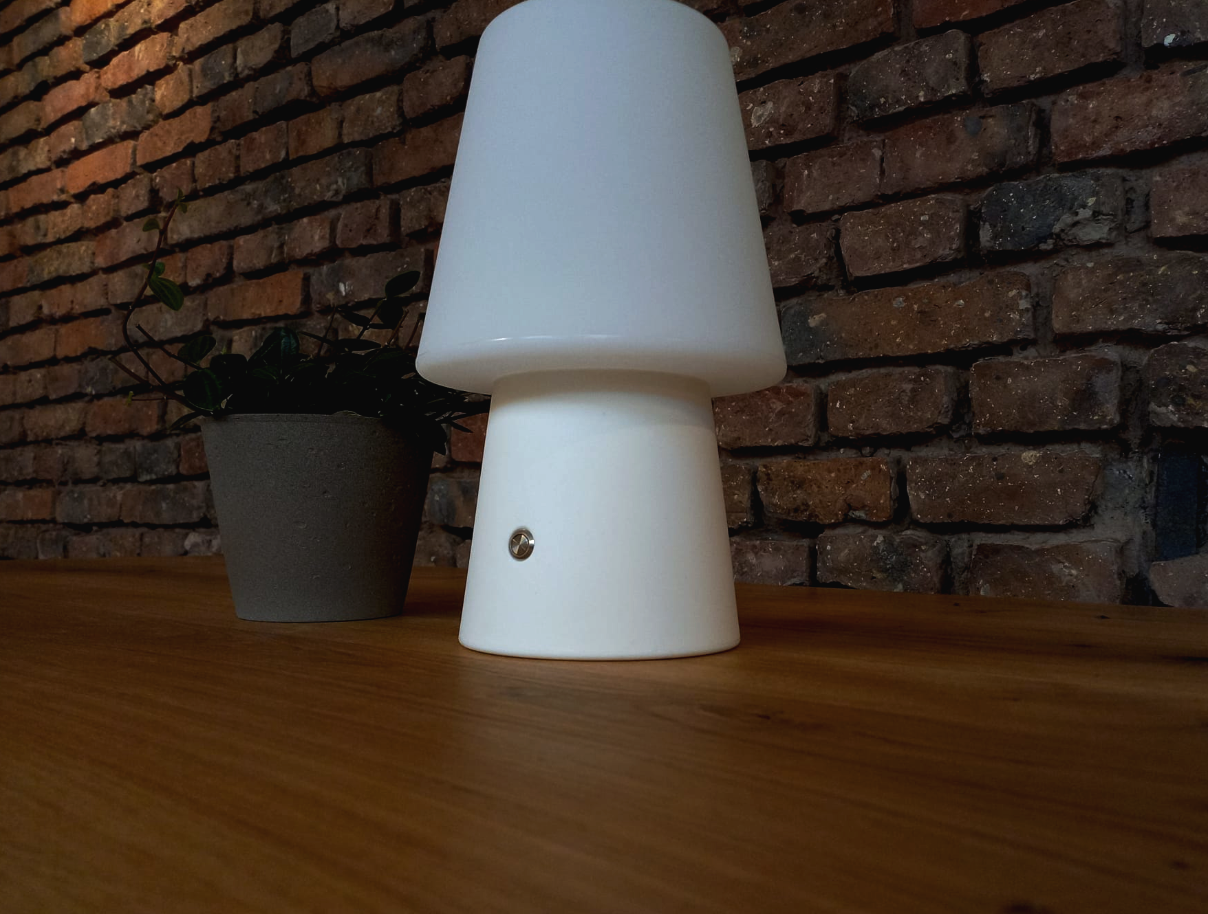 High Light 30cm